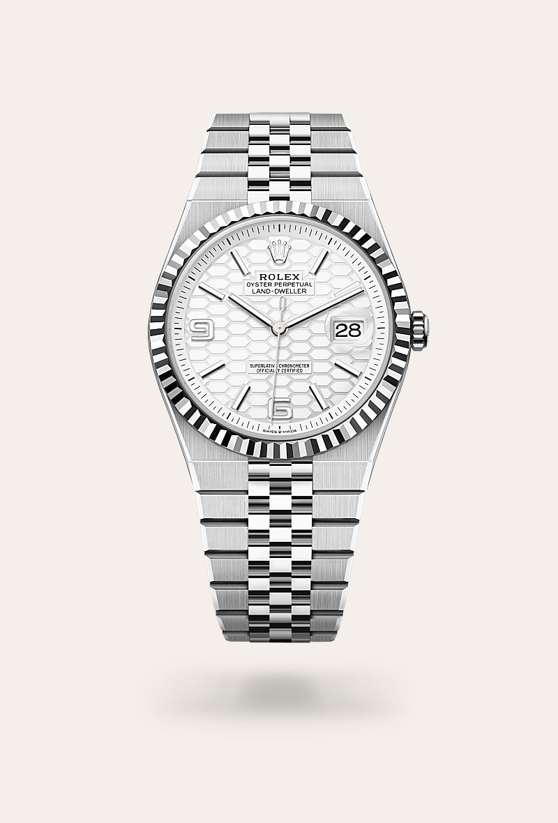 Land-Dweller 40, Oyster, 40 mm, white gold and Oystersteel
