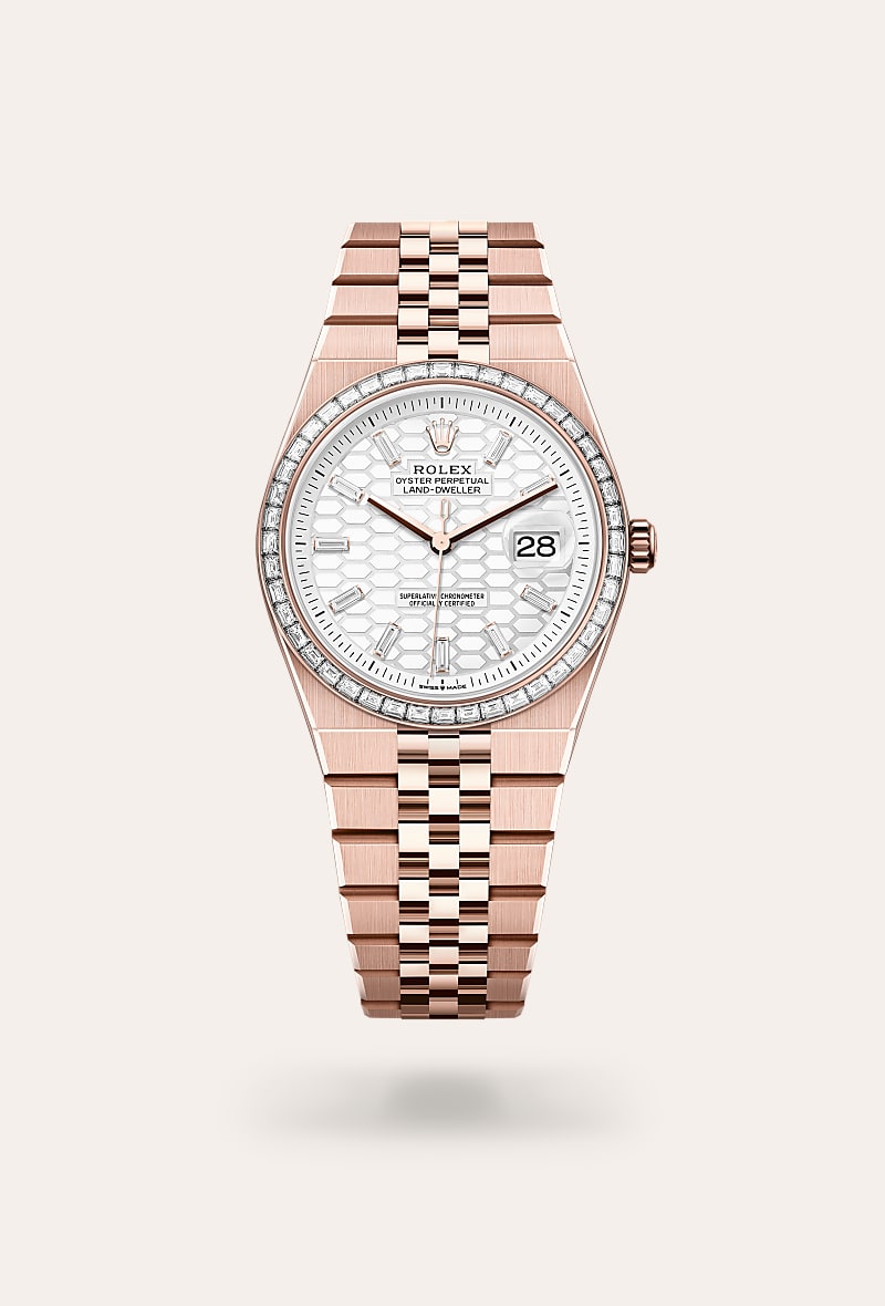 Land-Dweller 36, Oyster, 36 mm, diamond-set and Everose gold