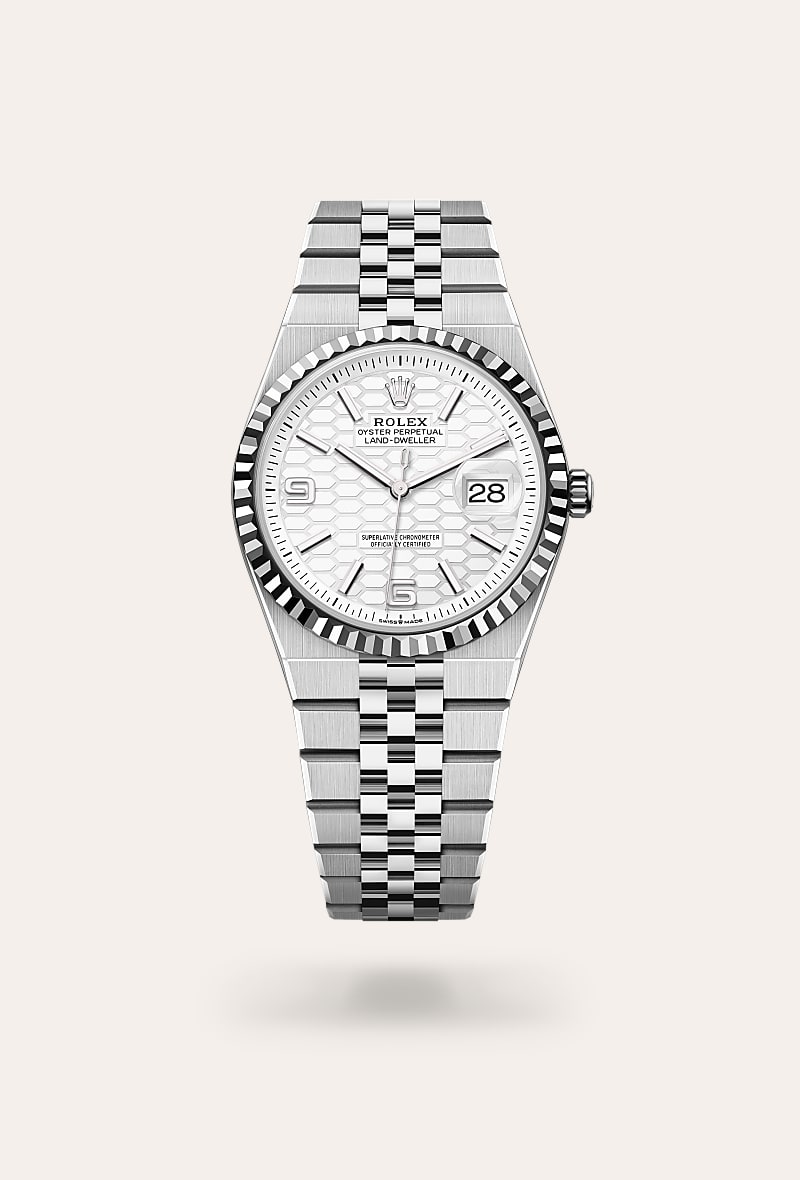 Land-Dweller 36, Oyster, 36 mm, white gold and Oystersteel