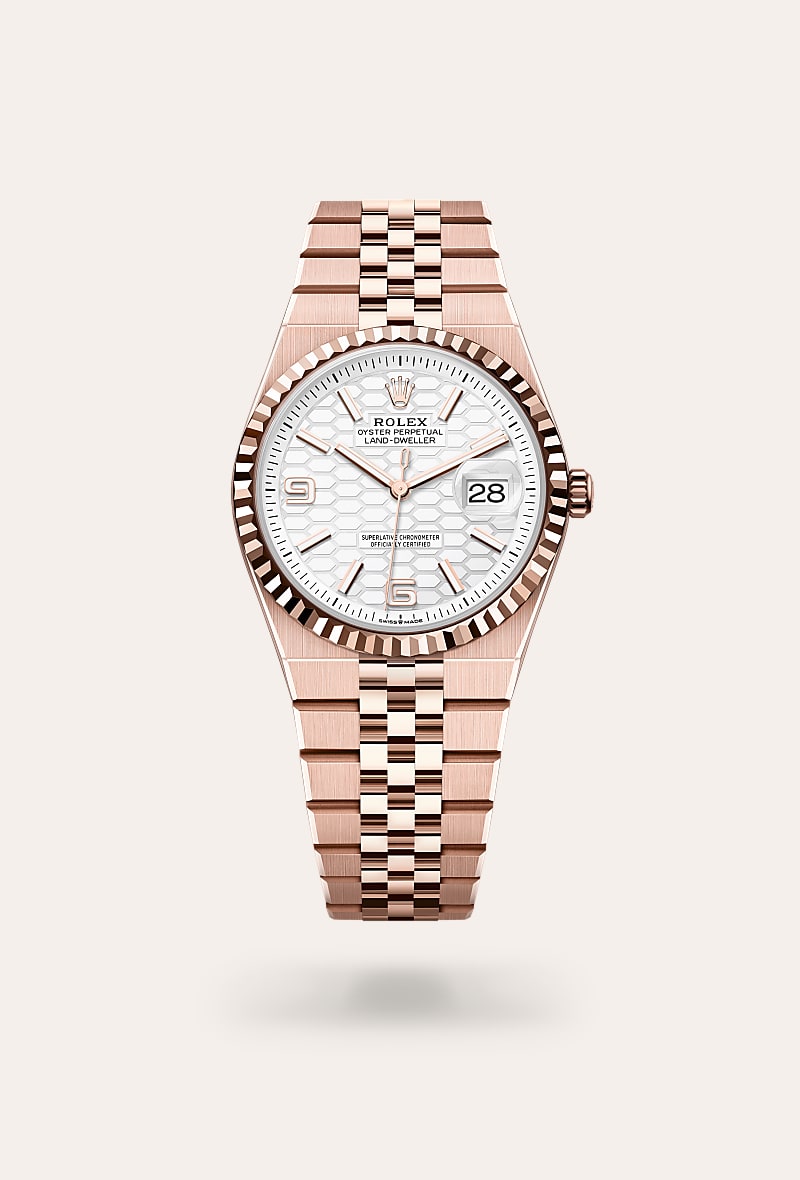 Land-Dweller 36, Oyster, 36 mm, Everose gold