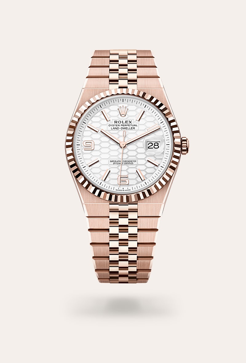 Land-Dweller 40, Oyster, 40 mm, Everose gold