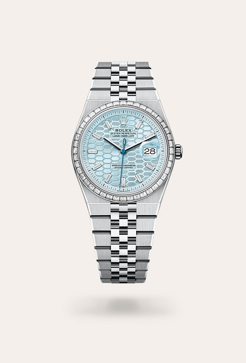 Land-Dweller 36, Oyster, 36 mm, diamond-set and platinum