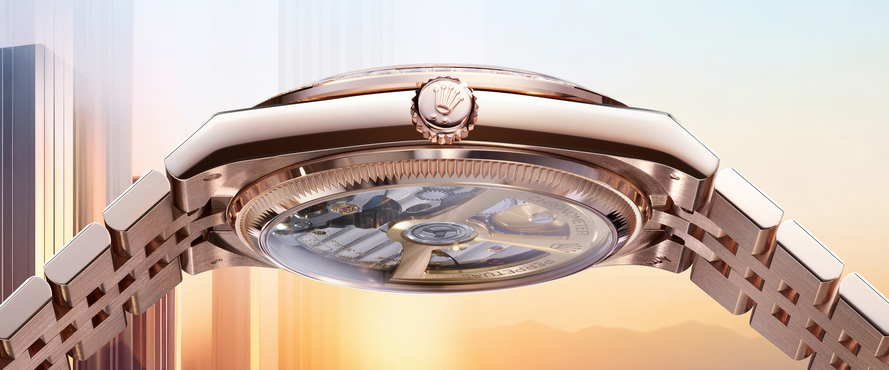 Rolex land-dweller
